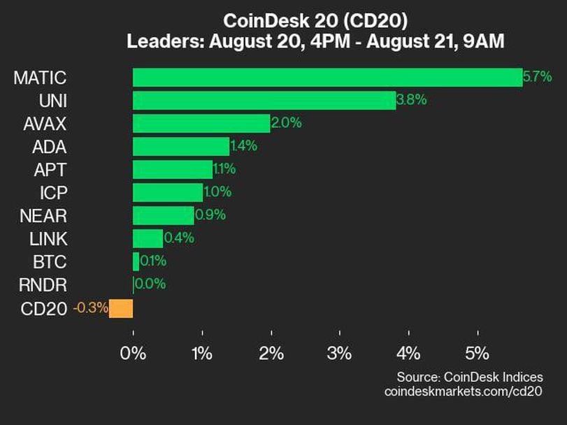 CoinDesk 20 Performance Update: Index Trades Down Despite Gains from MATIC and UNI