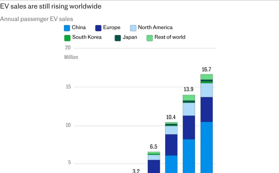 Tesla suffers first ever annual sales drop as China attacks EV market